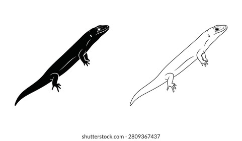 Lizard silhouette and line art icon set
