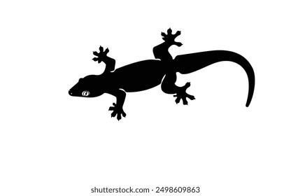 lizard silhouette for logo design Reptiles, vector, white background