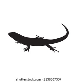 silueta de lagarto sobre fondo blanco.