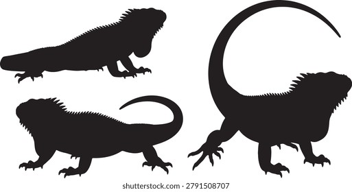 Lizard silhouette pack, iguana motion poses, reptile shape variety, wildlife animal icons set.