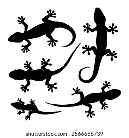 Lizard Silhouette Set Minimalist Black Gecko and Reptile hand draw