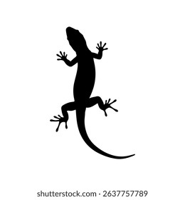 Lizard silhouette vector flat illustration on white background.