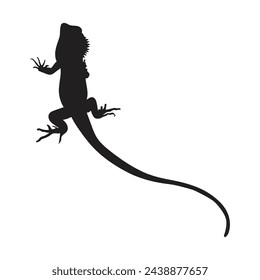 Lizard Silhouette ,Vector illustration black color 