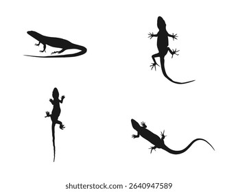 Lizard silhouette vector set illustration. Lizard vector icon logo and symbols template. The leopard gecko silhouette set collection is isolated black on a white background.