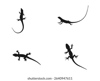 Lizard silhouette vector set illustration. Lizard vector icon logo and symbols template. The leopard gecko silhouette set collection is isolated black on a white background.