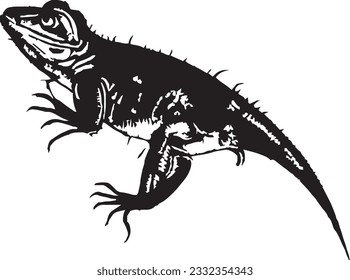 Lizard silhouette in white background