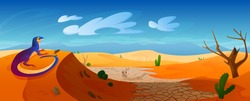 Lizard Sit On Dune In Desert With Golden Sand