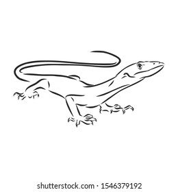 lizard sketch, contour vector illustration 