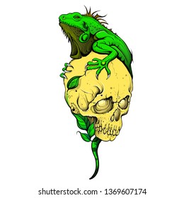 lizard skull vector eps color tattoo