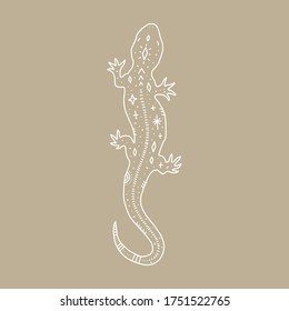 Lizard and space inside, double exposure. Wildlife concept. Boho tattoo art, fantasy ethnic style. Ornate animal. Vector illustration.