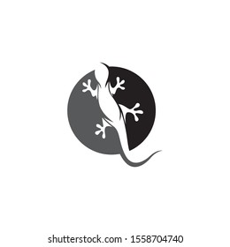 Lizard symbol icon vector animal 