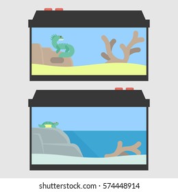 Lizard terrarium and turtle paludarium in flat style. Vector illustration of reptile tanks for pet shop.