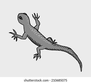 Lizard vector