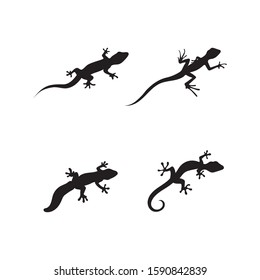 Lizard vector crocodile design, animal, and reptile, gecko