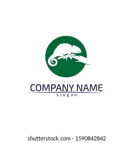 Lizard vector crocodile design, animal, and reptile, gecko