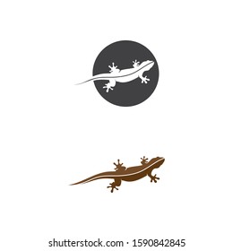 Lizard vector crocodile design, animal, and reptile, gecko