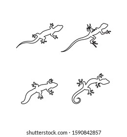 Lizard vector crocodile design, animal, and reptile, gecko