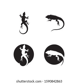 Lizard vector crocodile design, animal, and reptile, gecko