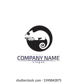 Lizard vector crocodile design, animal, and reptile, gecko