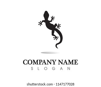 Lizard vector, design, animal, and reptile, gecko