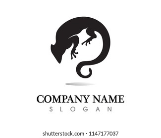 Lizard vector, design, animal, and reptile, gecko