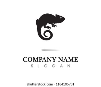 Lizard vector, design, animal, and reptile, gecko
