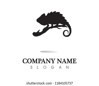 Lizard vector, design, animal, and reptile, gecko