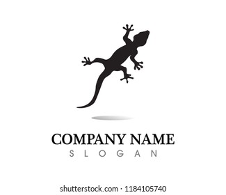 Lizard vector, design, animal, and reptile, gecko