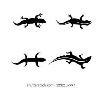 Lizard vector, design, animal, and reptile, gecko