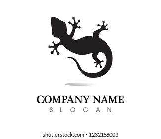 Lizard vector, design, animal, and reptile, gecko