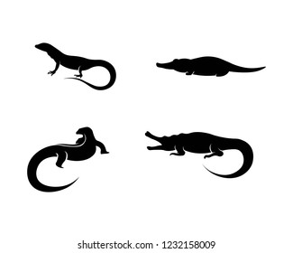 Lizard vector, design, animal, and reptile, gecko