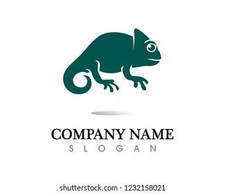 Lizard vector, design, animal, and reptile, gecko
