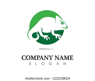 Lizard vector, design, animal, and reptile, gecko