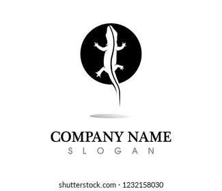 Lizard vector, design, animal, and reptile, gecko