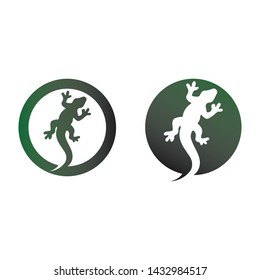 Lizard vector, design, animal, and reptile, gecko