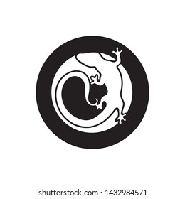 Lizard vector, design, animal, and reptile, gecko