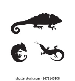 Lizard vector design animal and reptile gecko 