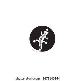 Lizard vector design animal and reptile gecko 