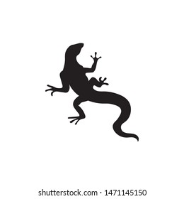 Lizard vector design animal and reptile gecko 