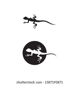 Lizard vector, design, animal, and reptile, gecko