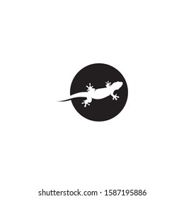Lizard vector, design, animal, and reptile, gecko