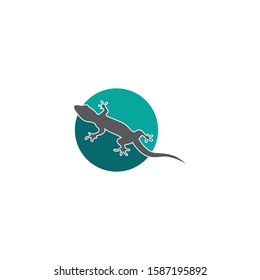 Lizard vector, design, animal, and reptile, gecko