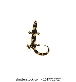 lizard vector icon logo and symbol template