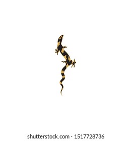 lizard vector icon logo and symbol template