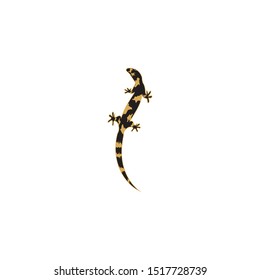 lizard vector icon logo and symbol template