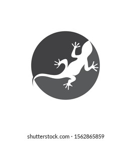 Lizard vector icon logo and symbols template - Vector