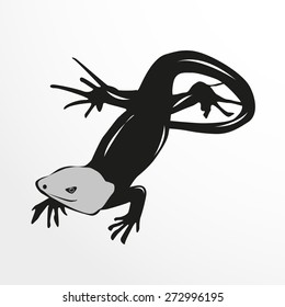 Lizard. Vector illustration. Animal collection.