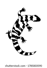 Lizard vector illustration. Gile monster illustration. Vector stock sketch. For colouring book.