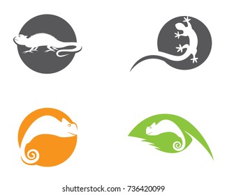 Lizard vector illustration logo template