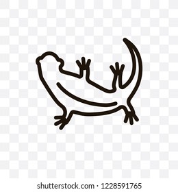 Lizard vector linear icon isolated on transparent background, Lizard transparency concept can be used for web and mobile